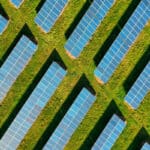 Aerial view of solar panels