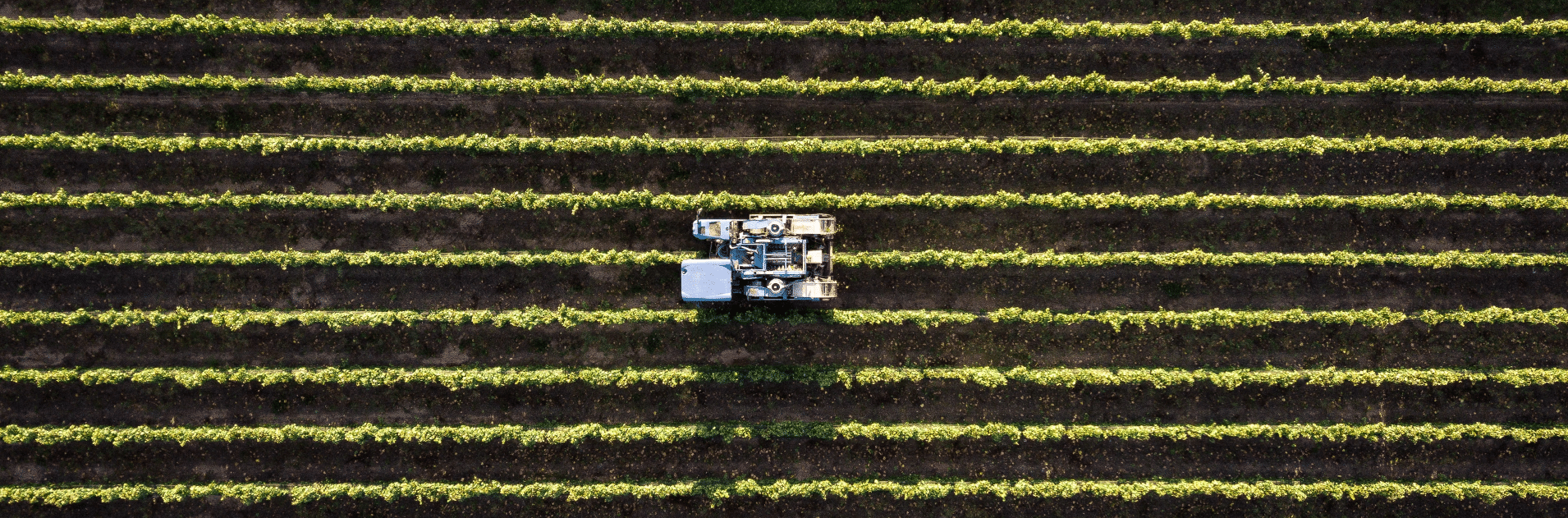 Aerial view of tractor in the field
