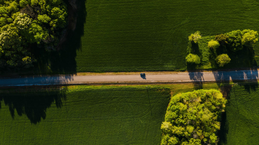 Aerial view of road in countryside